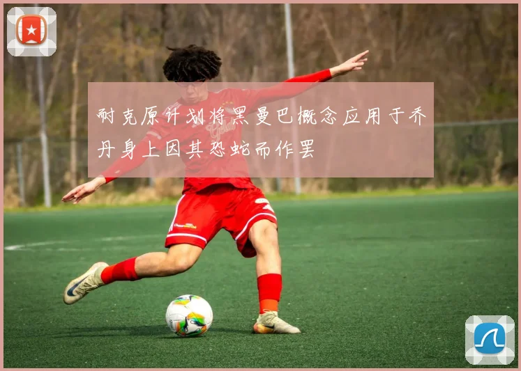 耐克原计划将黑曼巴概念应用于乔丹身上因其恐蛇而作罢